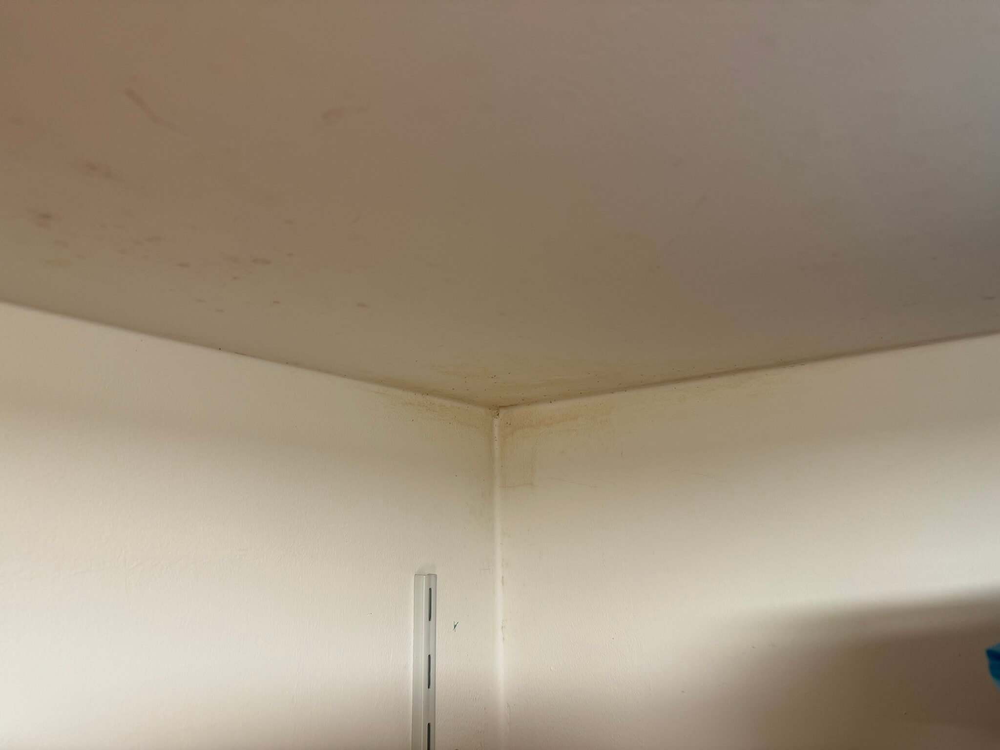 test1